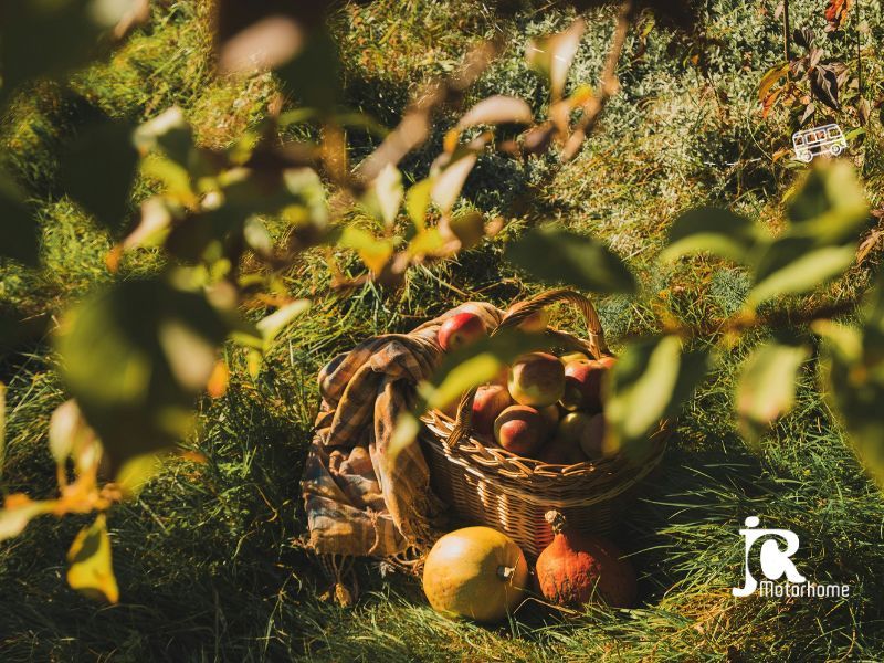 france passion voyage camping car