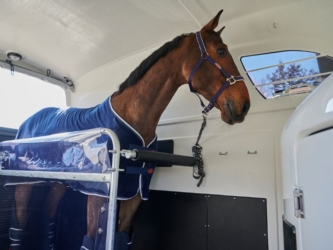 Location de camion pour chevaux